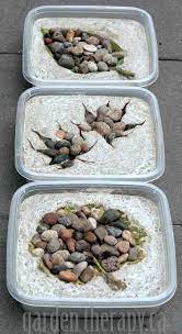 25 Amazing Diy Stepping Stone Ideas For Your Garden In 2020 Backyard Crafts Stepping Stones Diy Concrete Garden