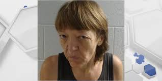 Woman arrested after attempting use an ambulance to flee police