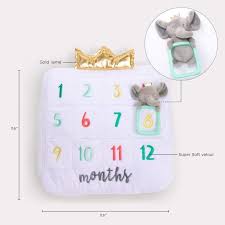 My First Milestone Baby Age Decorative Pillow Baby Aspen Baby Aspen Gifts