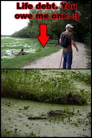 Maybe you would like to learn more about one of these? Brazos Bend State Park Cats Don T Camp
