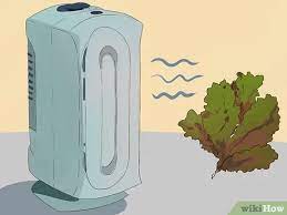 How To Hide The Smell Of Marijuana Plants: 10 Steps