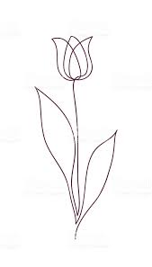 Beautiful Tulip Flower Line Art Concept Design Continuous Line Drawing Stylized Flower Symbol Ve Flower Line Drawings Line Art Flowers Line Drawing Tattoos