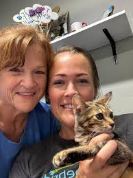 Just wanted to give you an update