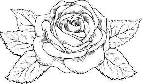 25 Blazing Hot Rose Tattoos For Men Roses Drawing Rose Coloring Pages Rose Tattoos For Men A traditional rose tattoo presents the universal meaning of appreciation of beauty. 25 blazing hot rose tattoos for men