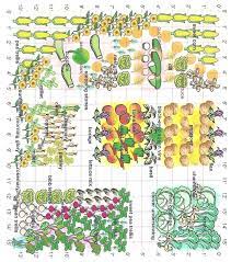 Image1 Companion Gardening Companion Planting Layout Planting Layout