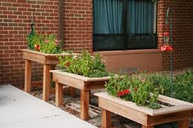 Building A Small Raised Bed Perfect For Balcony And Terrace Hochbeet Balkon Selber Bauen Hochbeet Bauen