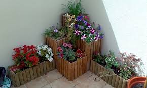 Resultado de imagen para plantas en vasijas o macetas