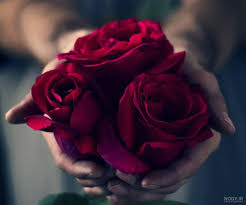 عکس پروفایل گل عاشقانه - empireslovakopen.sk