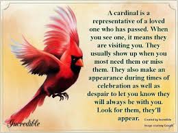 Cardinal Post For Memorial Grief Quotes Cardinal Cardinals