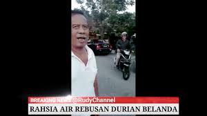 Kenapa tidak daun durian belanda? Khasiat Air Rebusan Daun Durian Belanda Untuk Penyakit Buah Pinggang Kencing Manis Youtube