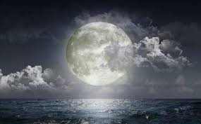 La Pleine Lune Du 12 Novembre 2019 Consiste A Batir Une Vie Meilleure Conscience Et Eveil Spirituel Il est important de savoir dans quelle phase se trouve la lune, c'est pourquoi nous vous proposons notre calendrier lunaire 2020. la pleine lune du 12 novembre 2019