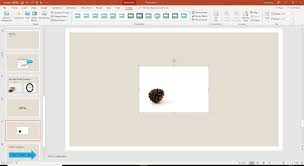 Make An Image Background Transparent In Powerpoint