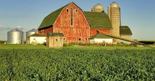 Is an autopsy required if someone dies at home? Who Can Authorize An Autopsy Under Illinois Law Probate Stars
