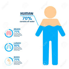 1 review of mode de vie not just any woman is qualified to kiss me. Corps Eau Boisson Infographie Sante Gens Regime Mode De Vie Brochure Infochart Vector Illustration Clip Art Libres De Droits Vecteurs Et Illustration Image 80379774