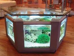 Tips cara membuat aquarium mini besar sendiri,akuarium unik,hiasan dari dinding memakai barang bekas dalam filter pompa air terjun dan air mancur sederhana. Model Aquarium Unik Meja Minamalis Aquarium Desain Gambar