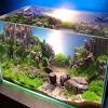 Pasalnya saat ini ada model meja aquarium minimalis yang multifungsi. 1