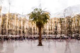 Libros new adult, +18, fantásticos, infantiles y muchas más categorías de tu agrado. We Show You The Complete List Of Winners Of The Best Written Work And Best Audiovisual Work Of The Ie Foundation Humanities Awards Of This Edition