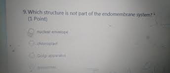 Endomembrane System | Ppt