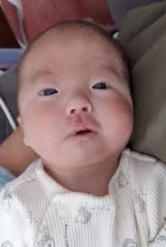 Obituary for Benjamin Lucas Lince