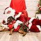 Free Dog Pics with Santa - Mauthe Park, 174 Smithfield St Event Image