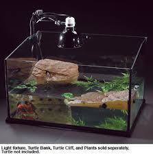Small Set Up For Aquatic Turtles Turtle Aquarium Turtle Terrarium Tortoise Aquarium
