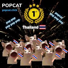 Contribute to hershelter/popcat development by creating an account on github. Y6lmi3chy4sqam