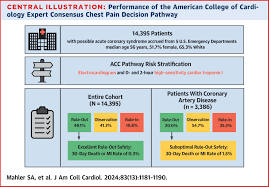 Image result for INTERCHEST Chest Pain Rule