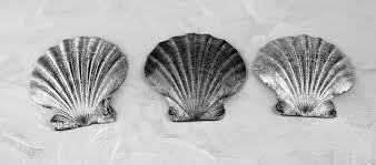 The Three Seashells