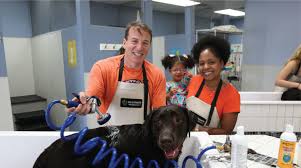 Dog wash includes warm filtered water, all natural products & blowout & more! Full Service Pet Grooming Self Serve Dog Wash Scrubbers Dog Wash
