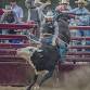 IPRA Rodeo