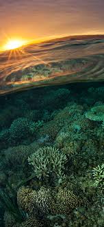 Whilst doing the scouts i will take reference pictures so i can plan. 1125x2436 Half Underwater And Half On The Water 5k Iphone Xs Iphone 10 Iphone X Hd 4k Wallpapers Images Backgrounds Photos And Pictures