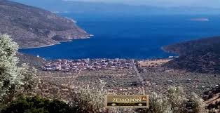 Η παραλία διαθέτει άμμο και βότσαλο, είναι αρκετά ρηχή και εύκολα προσβάσιμη, οπότε η αλυκή καθίσταται ελκυστικός προορισμός τόσο για ανθρώπους μεγαλύτερης ηλικίας όσο και για οικογένειες. Zeidwron Paralia Saranti Ena Mageytiko Meros Sth Boiwtia Me Pentaka8ara Nera Fwto Binteo