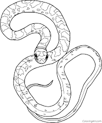 Besten bilder zu malvorlagen in 2020/2021. Realistic Python Coloring Page Coloringall