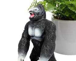 Image of Gorilla monkey roaring
