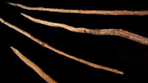 Neanderthal horse-hunting ...