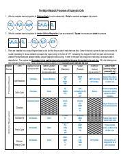 Maybe you would like to learn more about one of these? Plant Cell Analogy Eukaryotic Cell Analogy Activity A Cell Functions As A Whole Made Up Of Many Parts The Organelles Perform Very Specific And Course Hero
