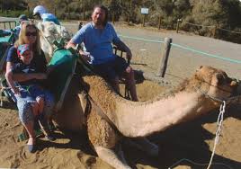Gran canaria, my last island, has long been a favourite with hikers, and justifiably. Camel Ride In Maspalomas Gran Canaria Bucket List