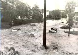 Image result for White 1972 Fedders