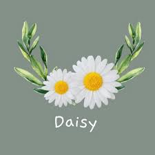 Daisyvibes