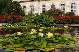 Der kurfürstliche garten, angelegt im stil der französischen gartenarchitektur. Quermania Bonn Poppelsdorfer Schloss Botanischer Garten Botanische Garten Mineralogisches Museum