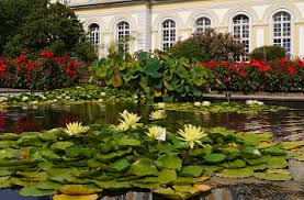 Täglich 9 bis 20 uhr, am 24. Quermania Bonn Poppelsdorfer Schloss Botanischer Garten Botanische Garten Mineralogisches Museum