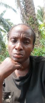 Harvested 4000 okra and 4 bags of cucumber