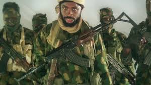 Wild jubilations as nigerian troops of operation tura takaibango & local vigilantes + local farmers stormed bokoharam leader shekau's farm inside. I Don T Have Any Farm In Sambisa Forest Shekau Mocks Military In New Video