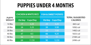 Usually a decimal weight measurement is expressed as a measurement in pounds and ounces. How Much Should I Feed My Puppy Vet Approved Puppy Feeding Guide