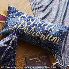 The box artwork is a new illustration of hogsmeade village in the snow. Harry Potter Fan Box The Big Fan Boxes