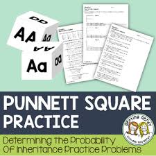 Spongebob is known for his big round eyes (r) which is dominant over oval eye shape (r). Punnett Square Practice Worksheets Teaching Resources Tpt