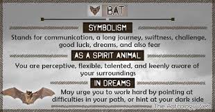 Bat Symbolism Spirit Animal Dream Spirit Animal Animal Spirit Guides Spirit Animal Meaning