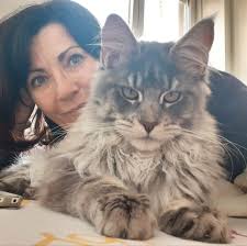 Sonia Galland. Communication animale, Reiki, Médium.