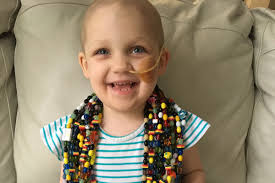 Fundraiser by Brandon Highsmith : Louisa the Lionheart