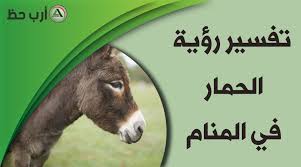 تفسير حلم الحمار في المنام وهل رؤية الحمار في المنام دليل على الصعوبات ارب حظ